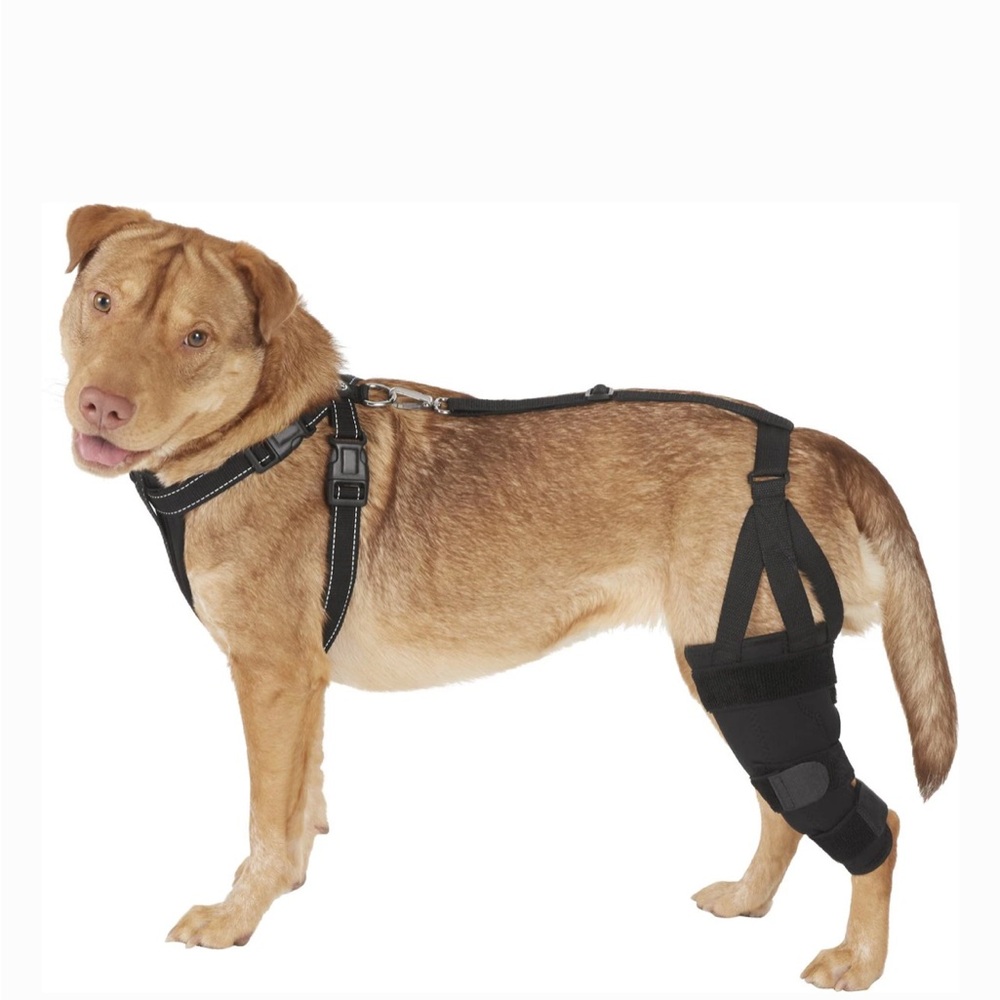 New Labra Left Leg Dog Knee stability all support Brace, Medium